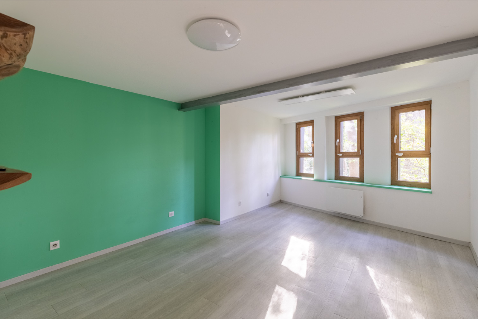 Image_13, Loft, Malzéville, ref :462T