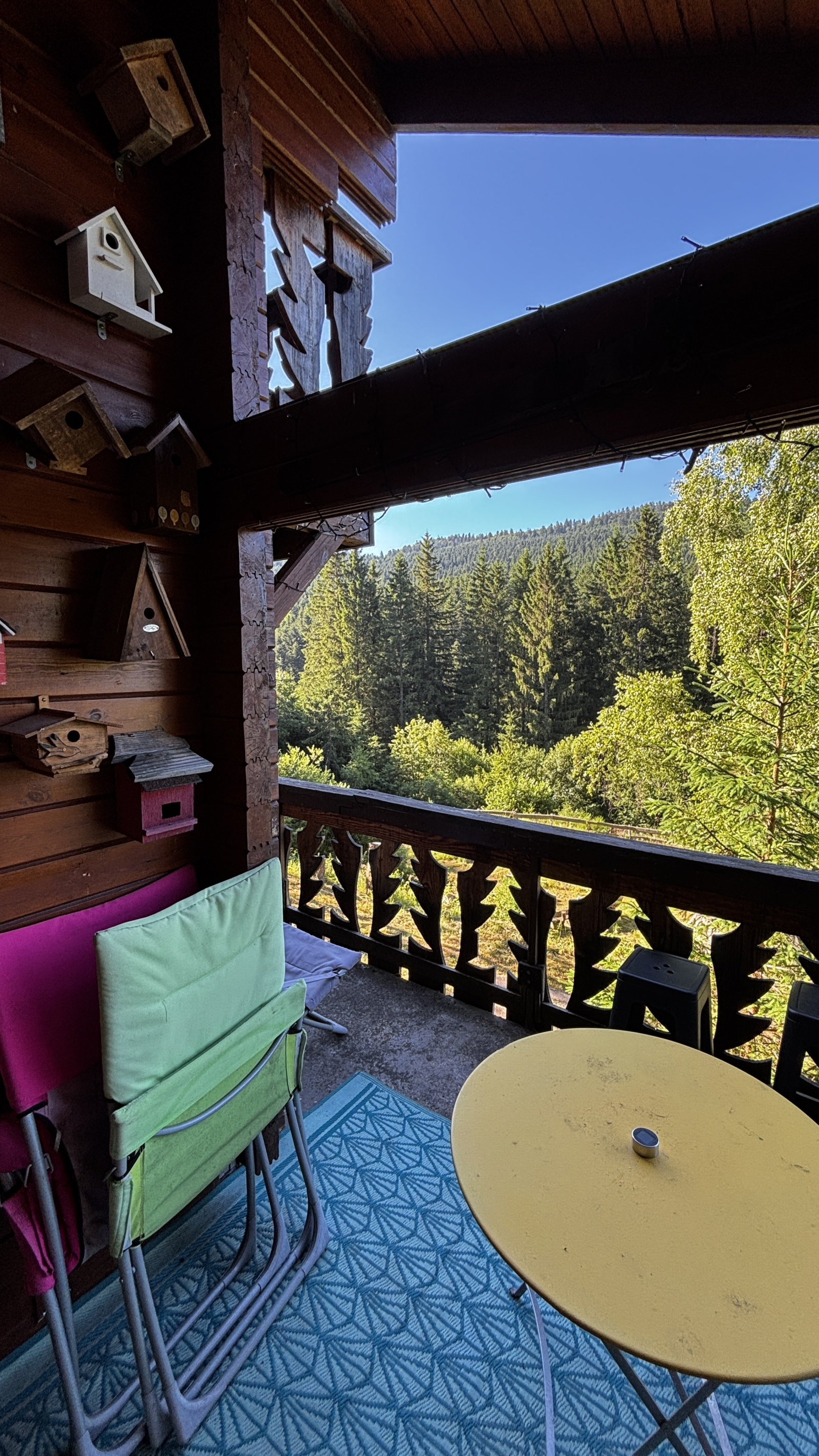 Image_6, Maison, Xonrupt-Longemer, ref :481T