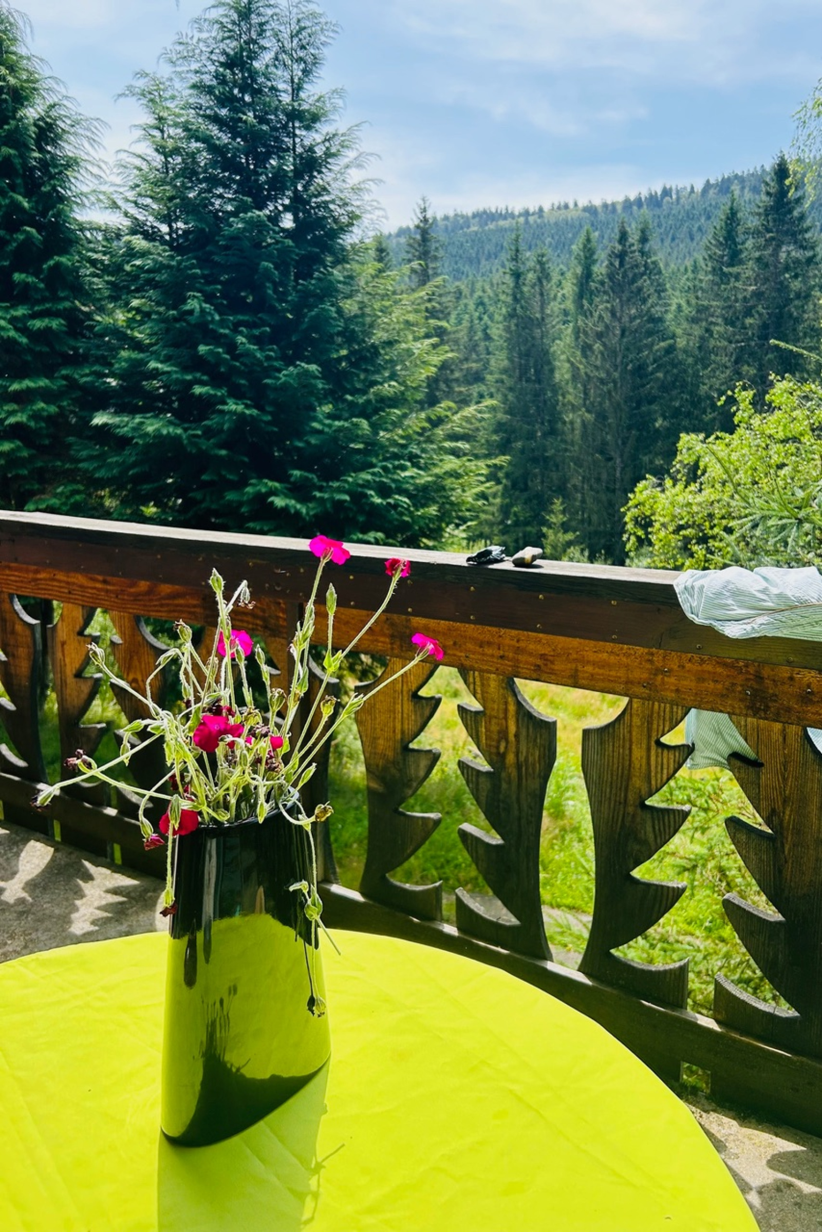 Image_7, Maison, Xonrupt-Longemer, ref :481T