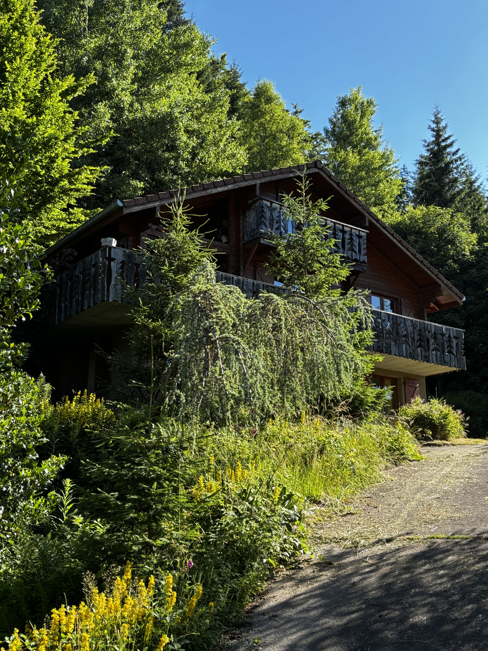 Image_1, Maison, Xonrupt-Longemer, ref :481T